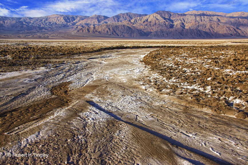 Salt Flats #3142